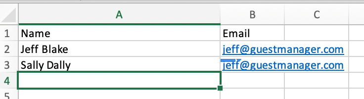 attendee import excel